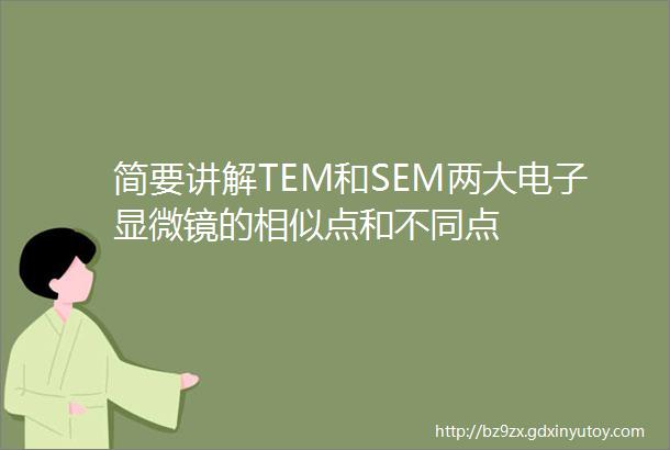 简要讲解TEM和SEM两大电子显微镜的相似点和不同点